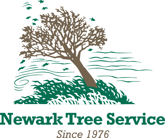 Newark Tree Service